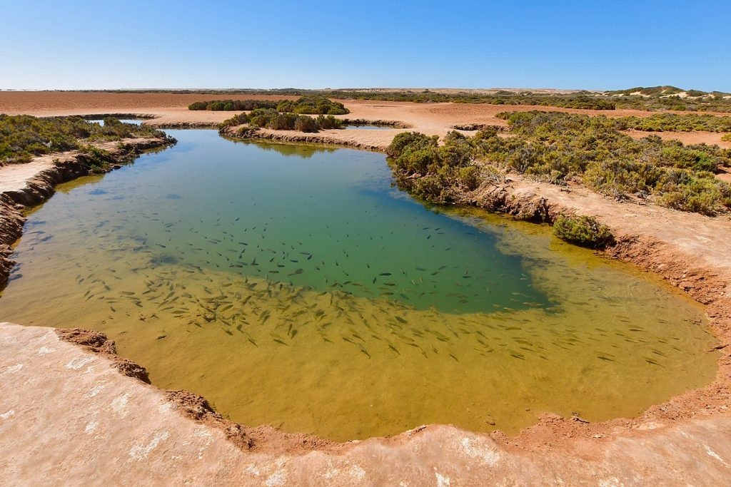 Imlili Desert Pools